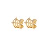 ARETE DE CHAPA DE ORO CH2761